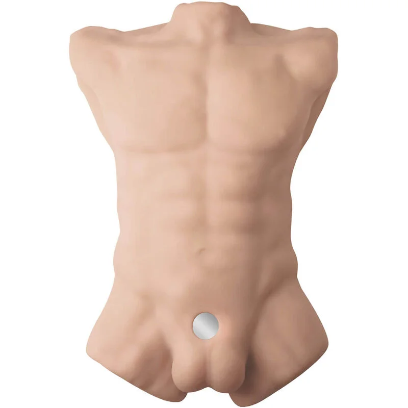 Apollo - Realistic Male Torso - Large